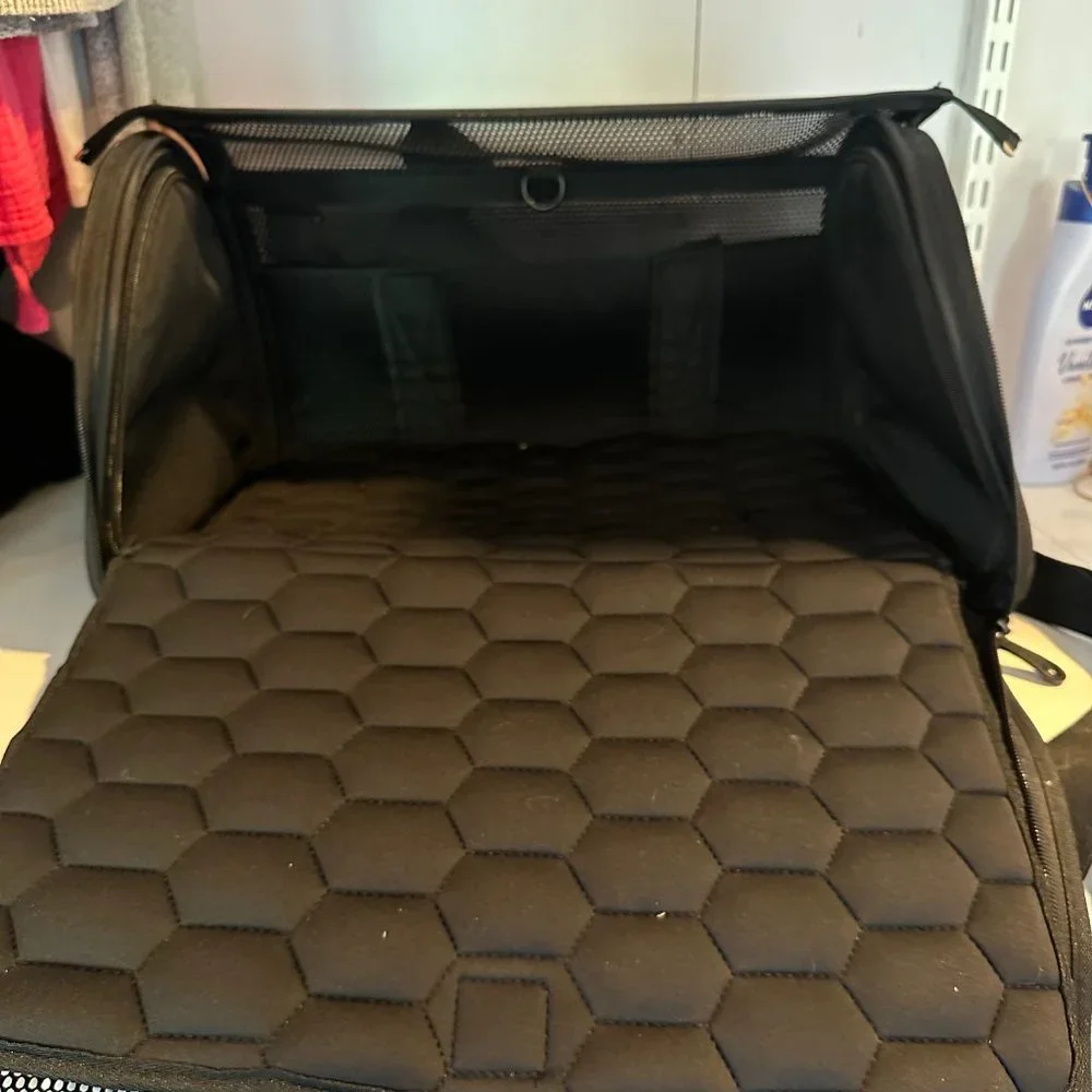 Wild One | Black Dog Carrier